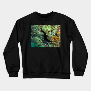 Nembrotha kubaryana nudibranch Crewneck Sweatshirt